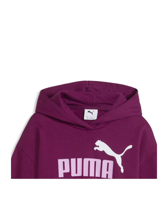 PUMA Παιδικό Φούτερ με Κουκούλα Φούξια Hoodie Fl
