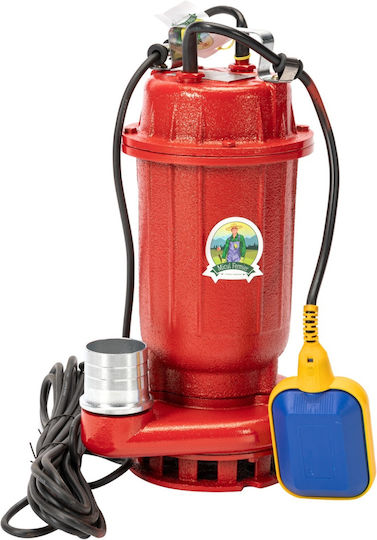 Pompa de Suprafață Electrică