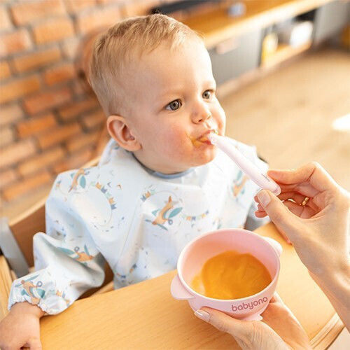 Babyono Children's Silicone Food Bowl Blue