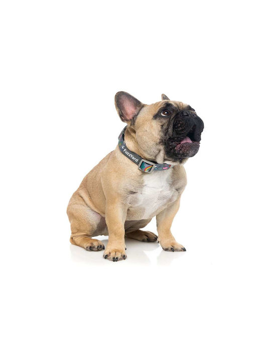 Fuzzyard Dog Collar Coachella Medium Neck Circumference 32-50cm