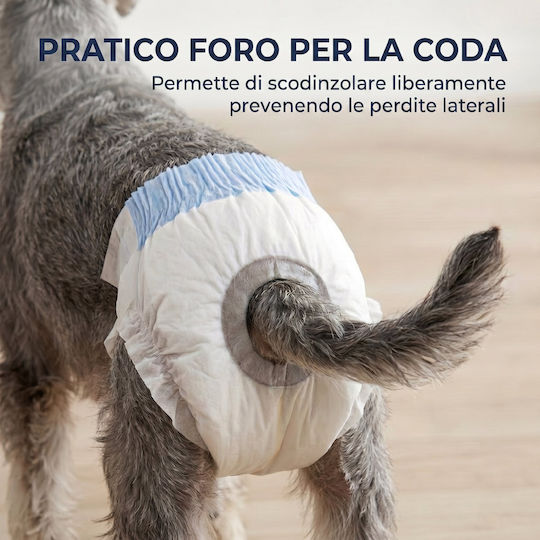 Pawhut Chiloței pentru câini pentru perioadă 48 buc