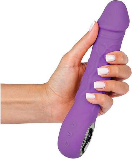 Purple Vibrator 10 Different Vibration Modes Heating Function