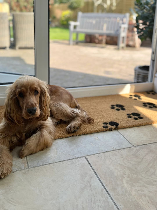 Artsy Mats Doormat Made of Coconut Tree with Non-Slip Backing Paw Prints 120x40cm