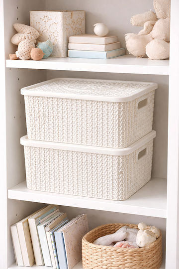 AGC Storage Basket Plastic with Lid White 25x18x10.5cm 2pcs