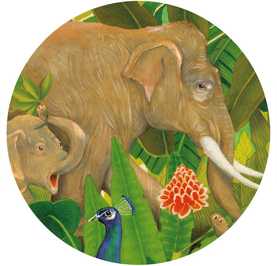Hidden in Nature Puzzle 2D 1000pcs