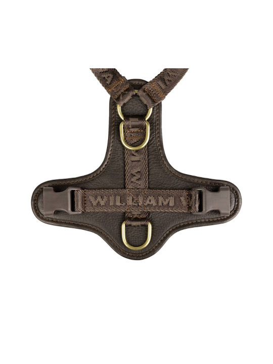 William Walker Кожено Кучешко Повод Plain Premium Кафяв Y-Harness Меко Кожа S 46-63cm William Walker Кожено Кучешко Повод Plain Premium Кафяв Y-Harness Меко Кожа S 46-63cm