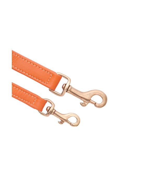 William Walker Adjustable Leather Dog Leash Amber Orange Plain Collection Xxs-xs 1.5cm
