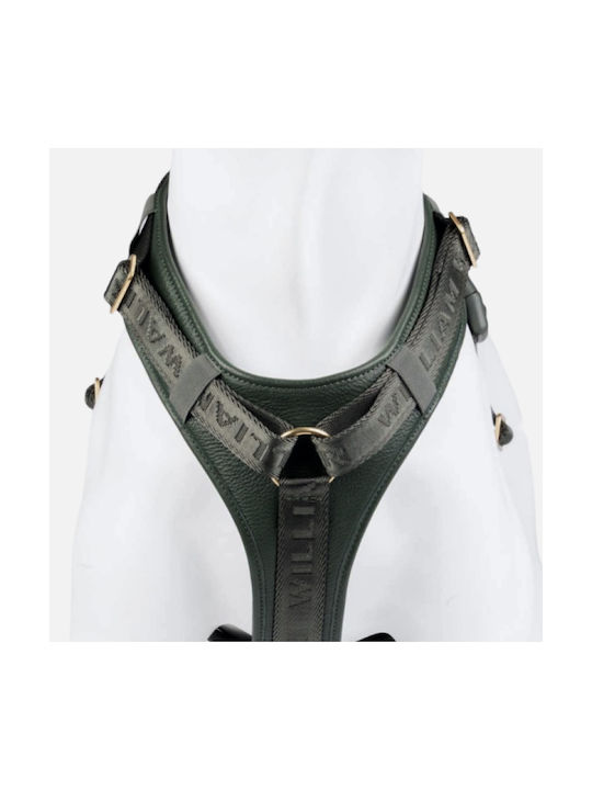 William Walker Leder Hundegeschirr Plain Premium Grün Y-Harness Weiches Leder X-Large 69-100cm