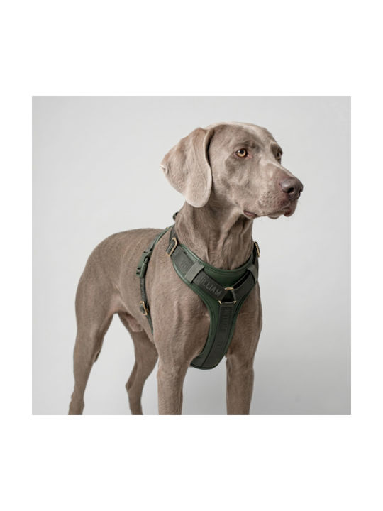 William Walker Leder Hundegeschirr Plain Premium Grün Y-Harness Weiches Leder X-Large 69-100cm