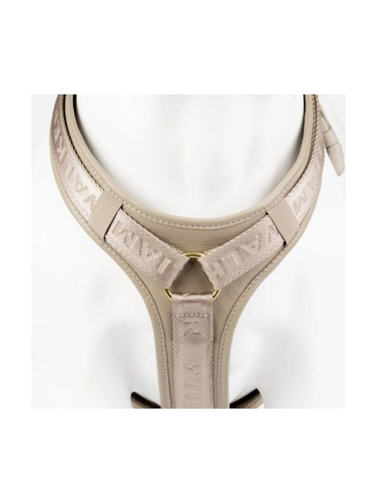 William Walker Leather Dog Harness Plain Premium Beige Y-Harness Soft Leather Medium 54-76cm