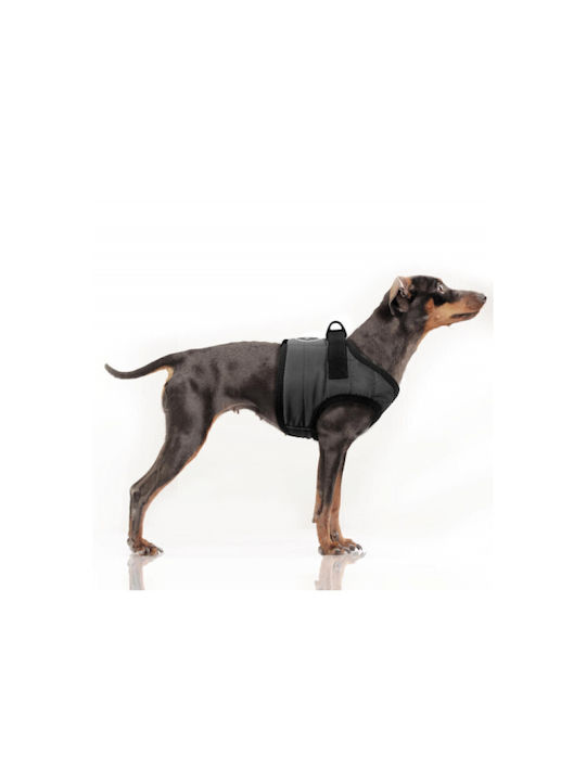 Milk & Pepper Кучешки Повод Musher Антрацит S44 42-45см Milk & Pepper Кучешки Повод Musher Антрацит S44 42-45см