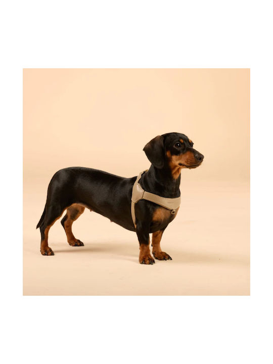 William Walker Pico Leather Step-in Dog Harness Beige for Small Dogs & Puppies L 45-60cm