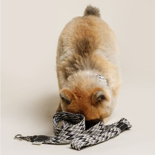 Buddys Dog Leash/Lead Strap In Black Colour 1.1m