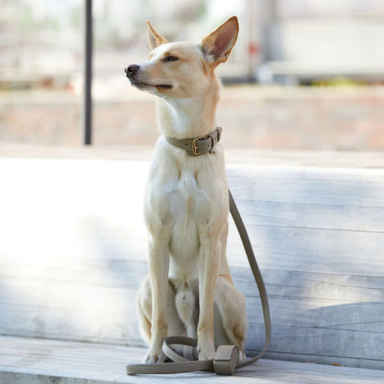 William Walker Foldable Dog Leash Lead Leather in Beige Color
