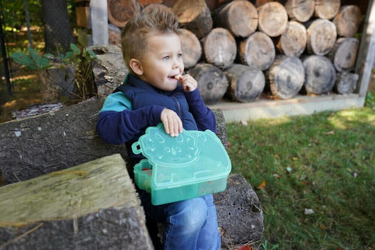 Melii Snackle Bear Cutie De Prânz Pentru Copii Din Plastic Tematică Dinozauri 1.115 Litri
