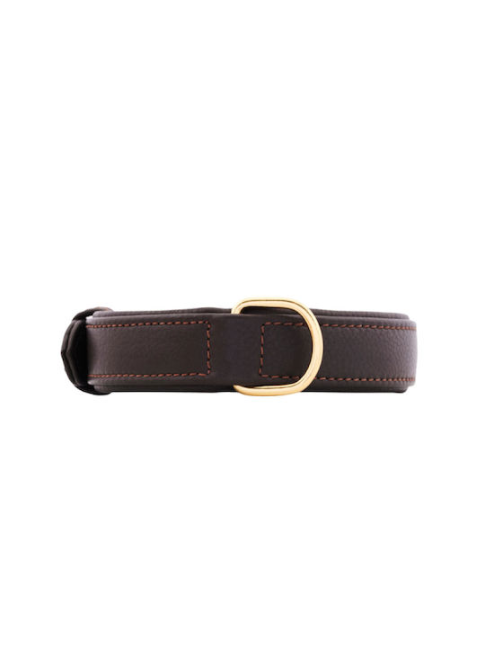 William Walker Δερμάτινο Περιλαίμιο Σκύλου Καφέ Plain Collection Xxs 22cm
