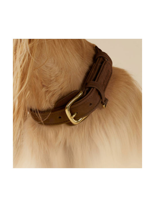 William Walker Waterproof Leather Dog Collar Nubuck Brown Heritage Collection Medium 38cm