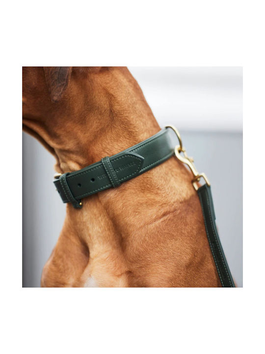 William Walker Leather Dog Collar Green Plain Collection XXSmall 22cm