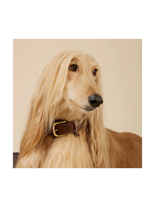 William Walker Wasserfestes Lederhalsband Hundehalsbänder Nubuck Braun Heritage Collection XXSmall 22cm