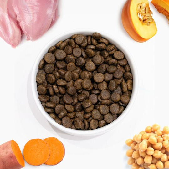 Arden Grange 12kg Grain-Free Dry Dog Food for Adult Dogs with Turkey