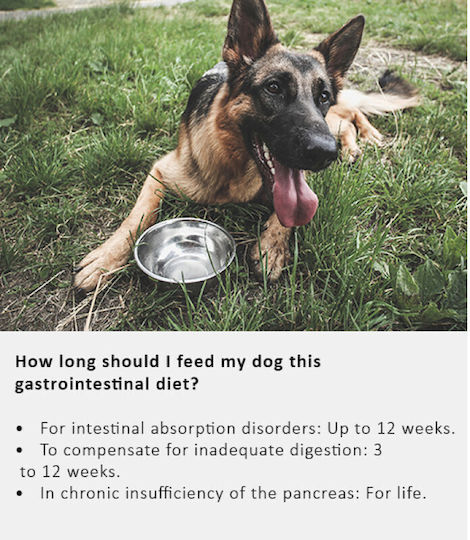 Arden Grange 2kg Grain-Free Dry Dog Food for Adult Dogs with Duck