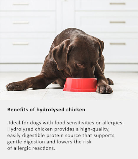 Arden Grange 2kg Dry Food Light Grain-Free for Adult Dogs with Chicken