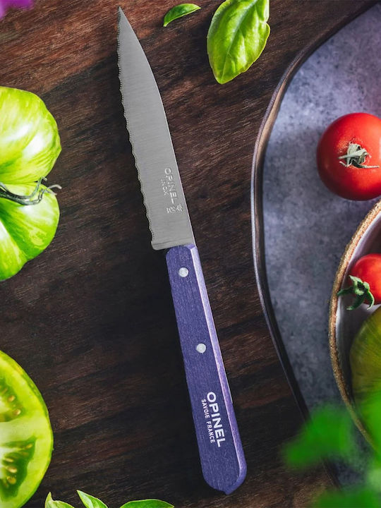 Opinel 113 Μαχαίρι Γενικής Χρήσης από Ανοξείδωτο Ατσάλι 10cm