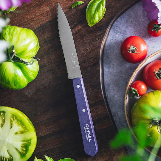 Opinel Les Essentiels Нож За Обща Употреба От Неръждаема Стомана 10см