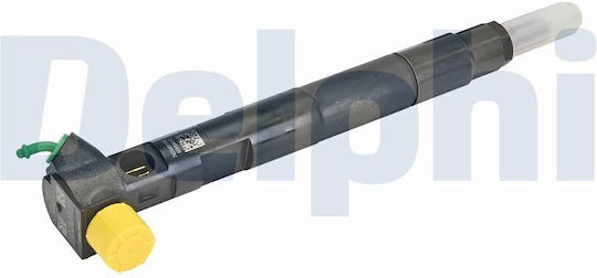 Delphi Injector Car