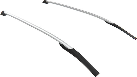 Hawk (with Roof Rack Legs) Silver