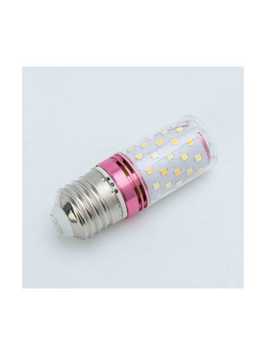 Decorative Lamp Red