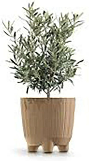 Iliadis Eco Plant Pot Plastic Multicolour