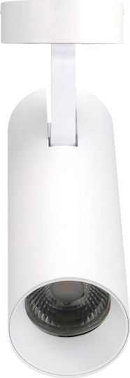 MaxLight Spot In White Colour MaxLight Spot In White Colour
