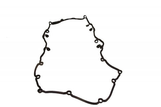 Reinz Oil Pump Gasket