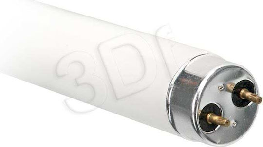 Actis ACS-HER865T8-18 Флуоресцентна Лампа за Цокъл G13 с Форма T8 18W