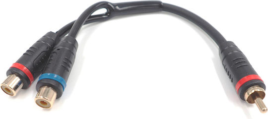 Conchord Tr 2 F Rca