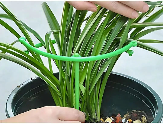 Circular Plant Support 3 Rings Green Proper Growth