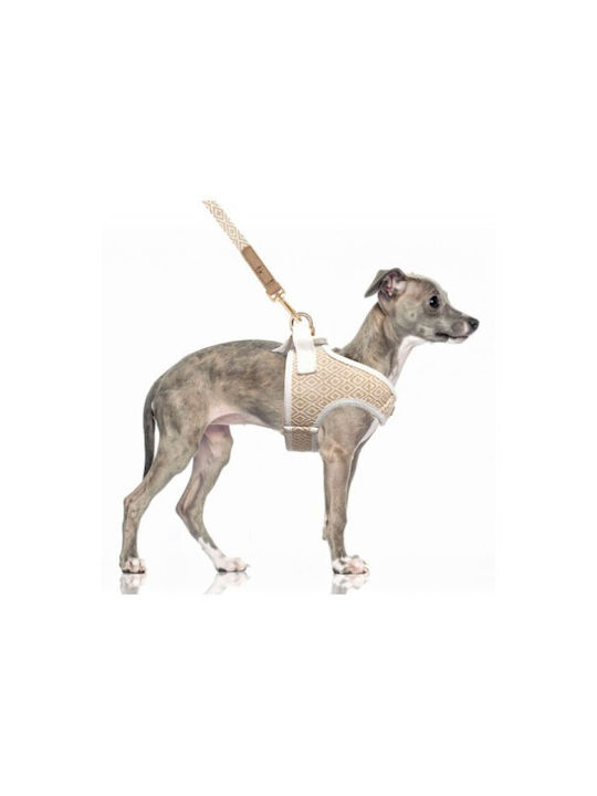 Milk & Pepper Beiges Hundegeschirr Kofi Crop 29