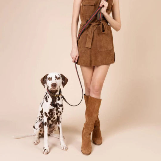 William Walker Foldable Dog Leash Lead Leather 1.5cm