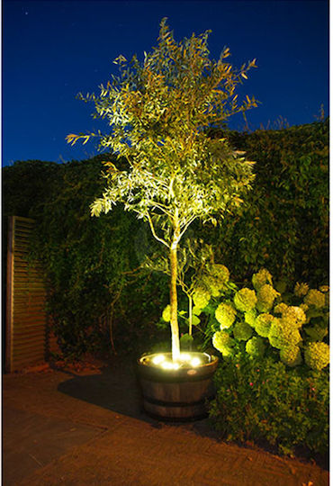 Progarden Set 4 Lampi Solare Cu Lumină Alb Cald 13x5.5x5.5cm