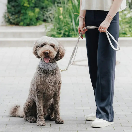 Hunter Training Dog Leash Lead Strap in Brown Color 2m x 1.5cm