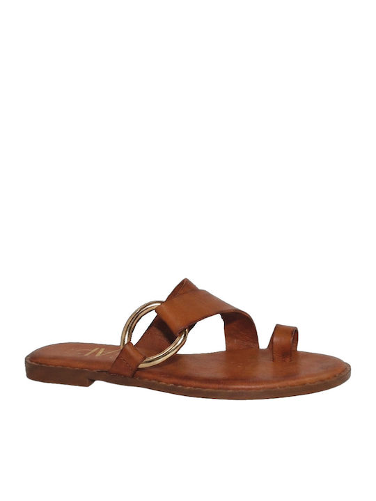 Alessia Viani