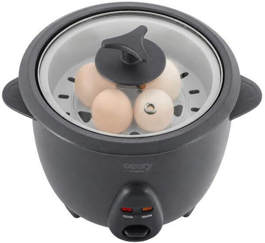 Camry Rice Cooker 400W with Capacity 1lt