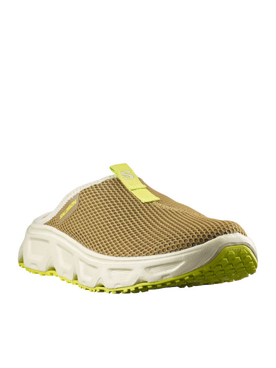 Salomon
