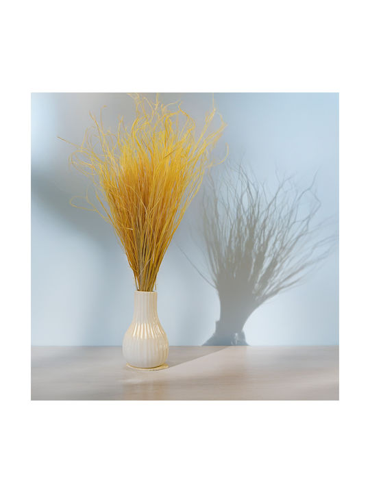 Dried Stipa Feather Grass Stipa Pennata Ginger