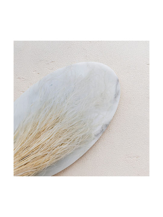 Dried Stipa Feather Grass Stipa Pennata Bleached