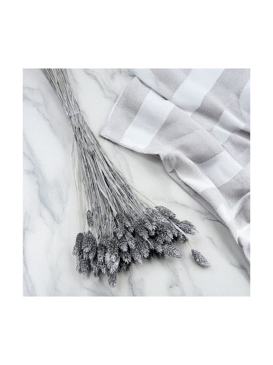 Dried Phalaris Canary Canary Grass Silver