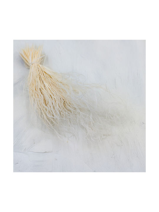 Dried Stipa Feather Grass Stipa Pennata Bleached