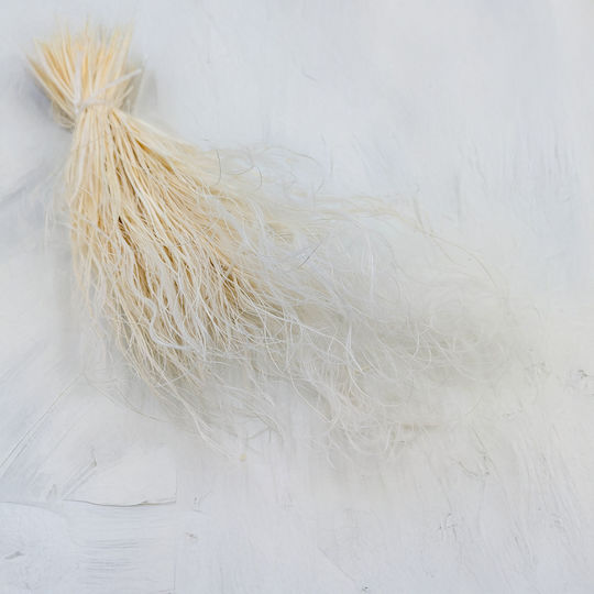 Iarbă Stipa Pennata Uscată Decolorată