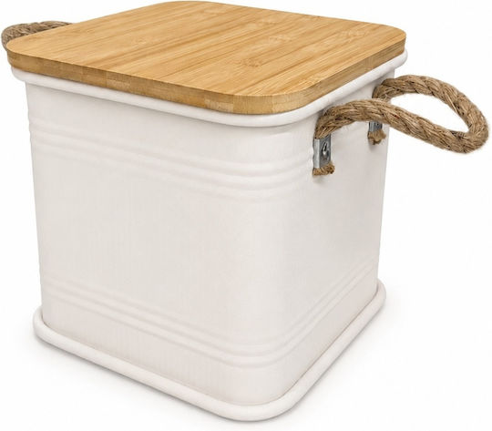 Metallic Storage Box with Lid